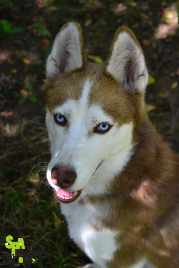 Ragnar
